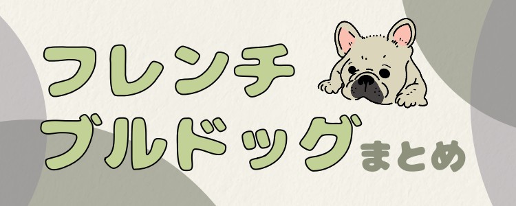 はまっちゃうフレンチブルドッグ